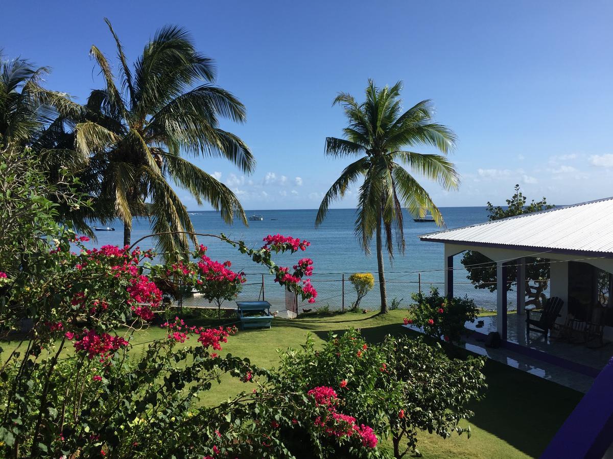 Sea View Hotell Little Corn Island Eksteriør bilde