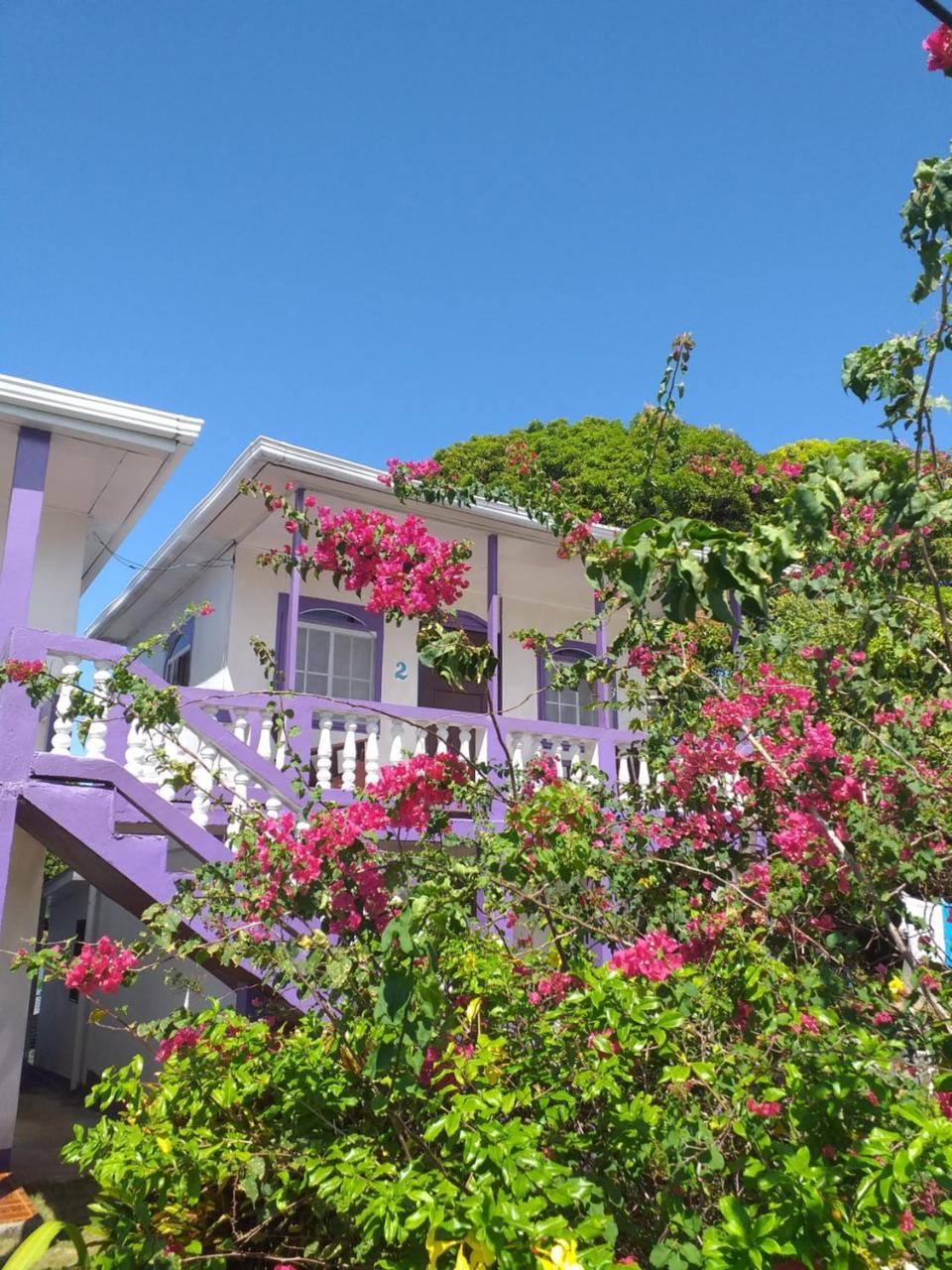 Sea View Hotell Little Corn Island Eksteriør bilde